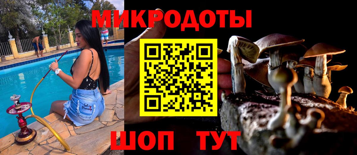 Галлюциногенные грибы мухоморы Котлас
